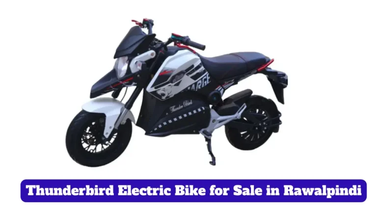Used Thunderbird Electric Bike for Sale in Rawalpindi